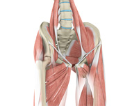 Femoro Acetabular Impingement (FAI)